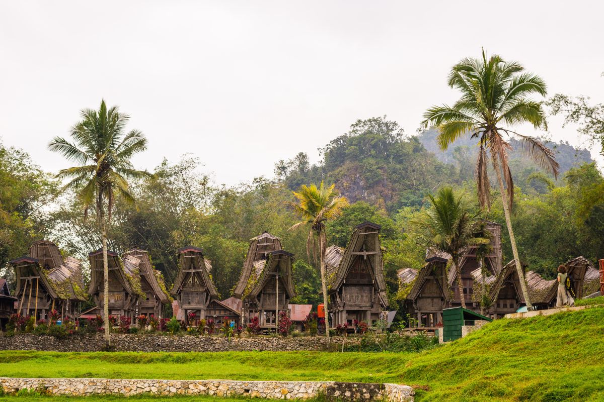 Tana Toraja